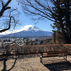 Image of Mt. Fuji from the Chureito Pagoda.